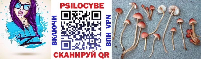 Галлюциногенные грибы Cubensis  Нарткала 
